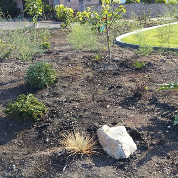 Edible Front Yard