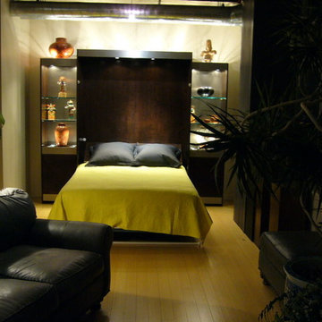 Modern Murphy Bed