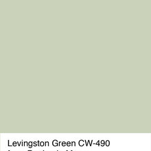 Paint Colors