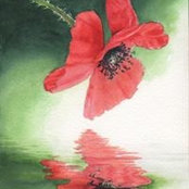 Foto de Judy DeWinter
