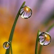 Jenny VanWormer Vargo's photo