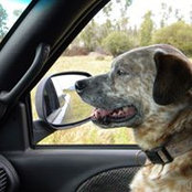 Jan Finn's photo