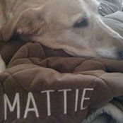 Wayne Sutton's photo