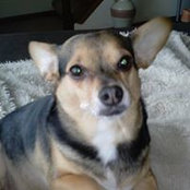 Sheila Donnini's photo