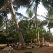 Ravi Malar's photo