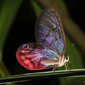 Kevin Painter's photo