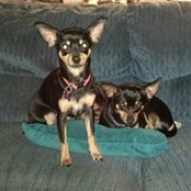 Frank Mclaughlin's photo