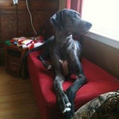 Shelley Ryan's photo