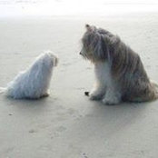 Sandi Roe's photo