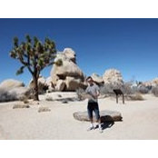 Dmitry Tokmakov's photo