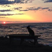 Val Potvin's photo
