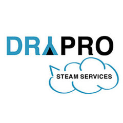 Dry Pro Steam Services