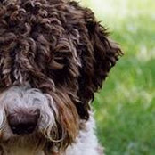 Kathy Haglof's photo