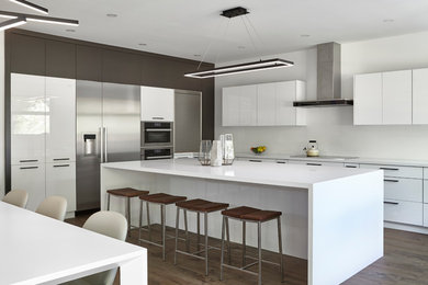 Kitchen - contemporary l-shaped dark wood floor and brown floor kitchen idea in Toronto with flat-panel cabinets, white cabinets, stainless steel appliances, an island and white countertops