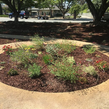 Morgan Hill Butterfly Garden