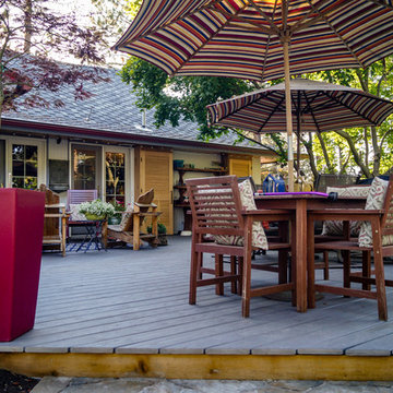 Mid-Century Backyard