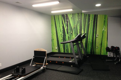 Home gym - modern home gym idea in Grand Rapids