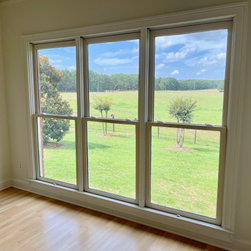 Picture Windows - Windows