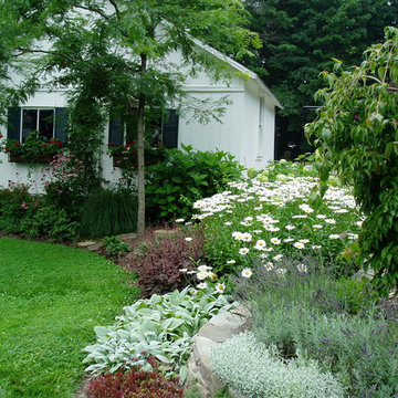 Flanders garden