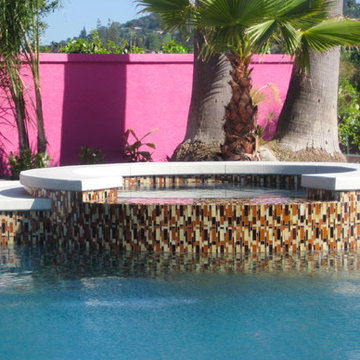 Contemporary Landscaping | Freeform Pool