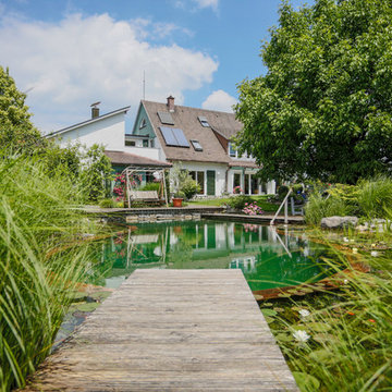 Schwimmteich Natur Pur