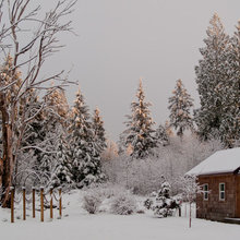 Here’s All You Need to Know About Composting in Winter