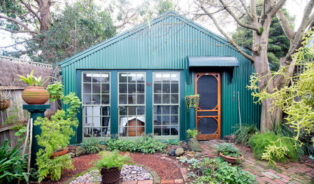 Creatives at Home: Dr Terri Brooks in Her Backyard Shed