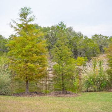 Hays County Ranch | Riparian Restoration