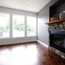 Living room fireplace