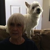 Jackie Bradley's photo