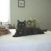Beverly LeBoeuf's photo