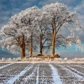 Foto von Debra Hogan Knight