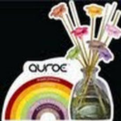 Foto von Viacon Global-Services