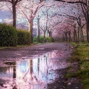 Hadeel Naasy's photo