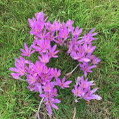 Julie Gulland's photo