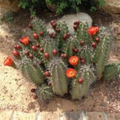 Jeanna Blatt's photo