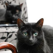 Atinus Oarref's photo