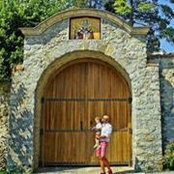 Milos Mihajlovic's photo