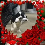 Lisa Wilken's photo