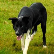 Scott Stein's photo