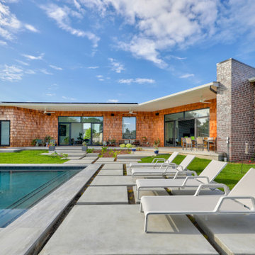 Modern Oasis