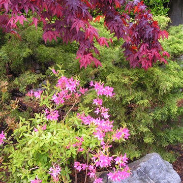 Landscaping and Maintenance