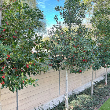 Privacy Fence Planting Line With Small Trees and Groundcover Bed