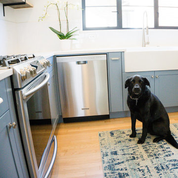 New England Style Denver Bungalow Remodel Family Dog