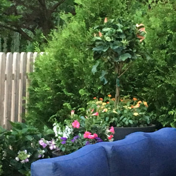 Screening on terrace and large pots of flowers