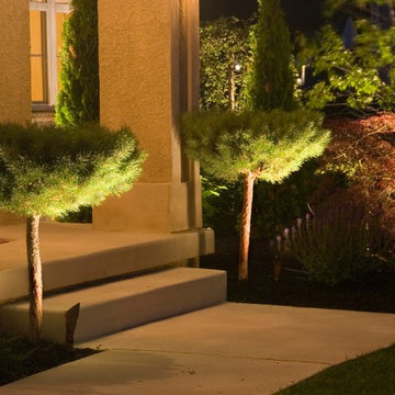 Affordable Lawn Sprinkler and Lighting's Artistry around Northern Virginia