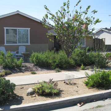 Garden Grove Native/Succulent Front Yard