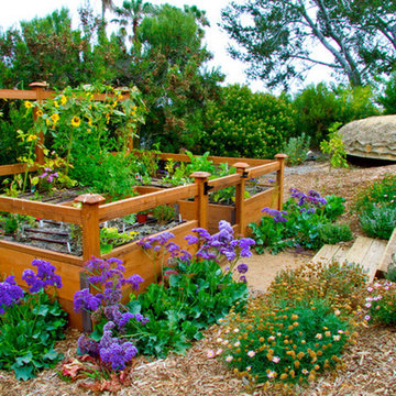 Raised Vegetable Garden