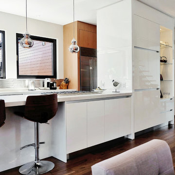 LJC Residence, Oakville ON