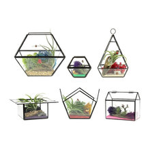 Terrariums